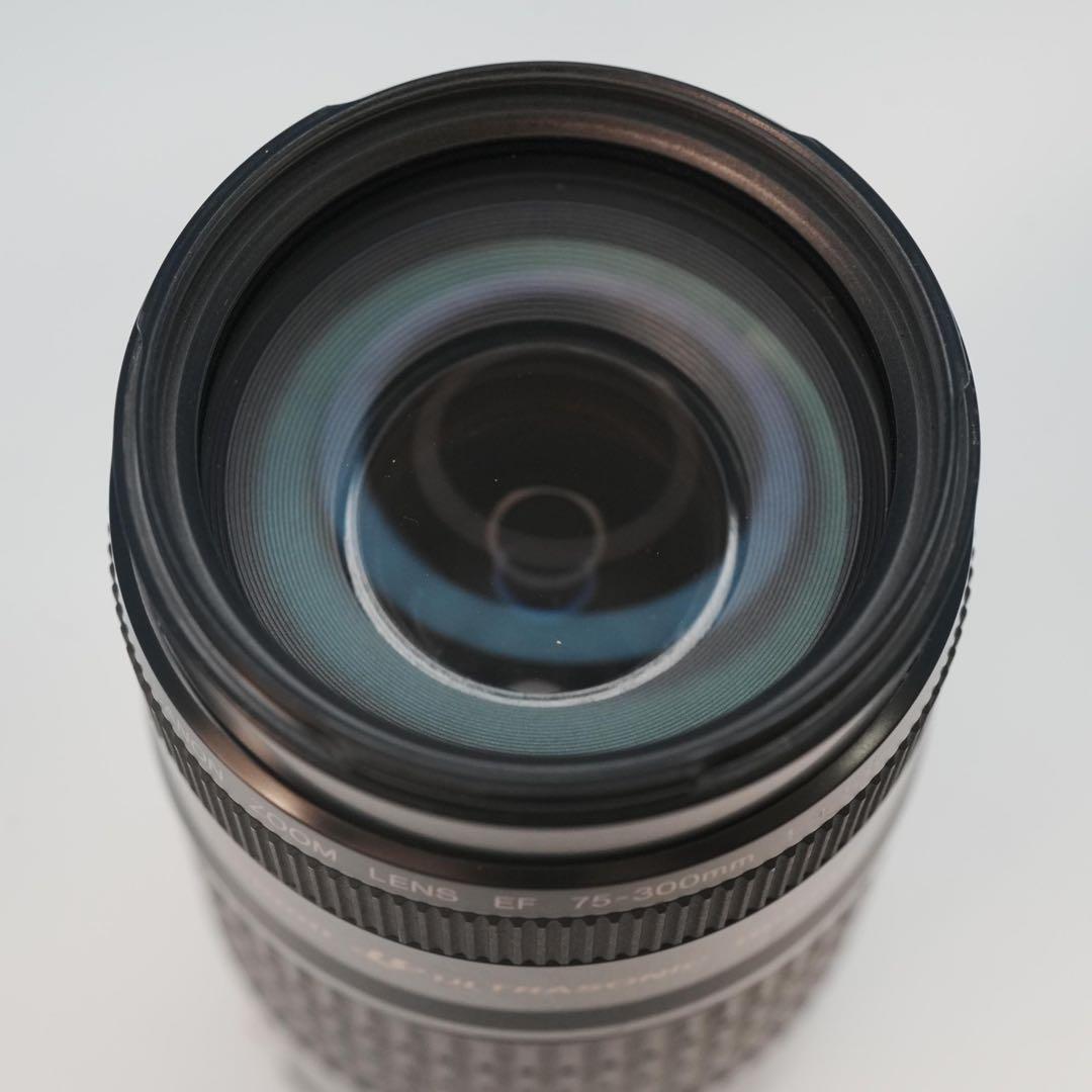 Canon純正 75-300mm 望遠レンズ 美品 a5042