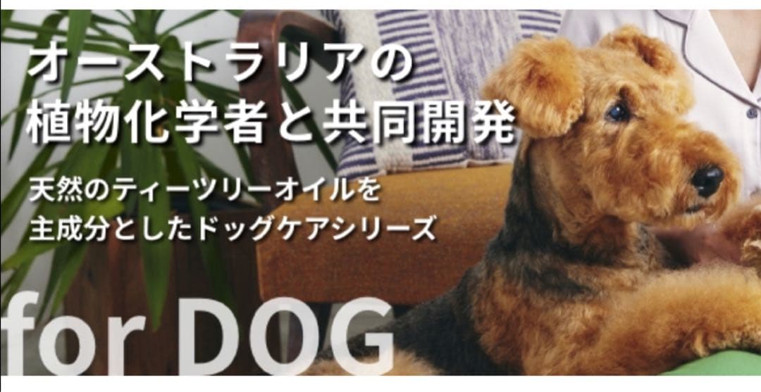 ☘️APDCティーツリーシャンプー&コンディショナー500㎖　３本 set